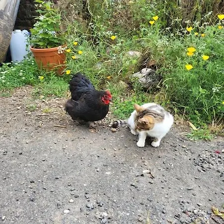 Le Cambou Feriehus *