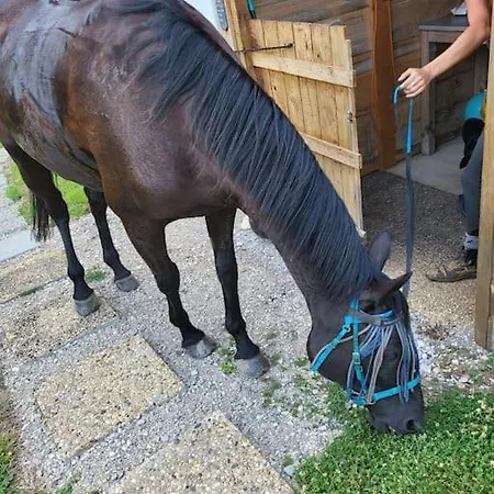 Le Cambou * Saint-Just-sur-Viaur