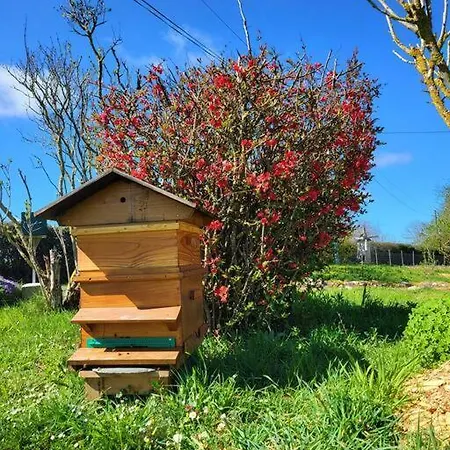 Feriehus Le Cambou *