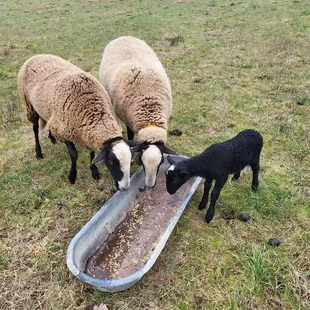 Le Cambou Feriehus Saint-Just-sur-Viaur