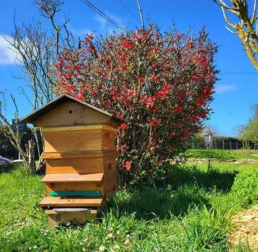 Nyaraló Le Cambou *