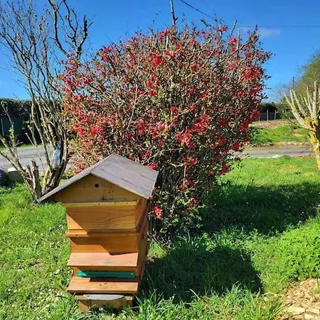 Le Cambou Tatil Evi Saint-Just-sur-Viaur