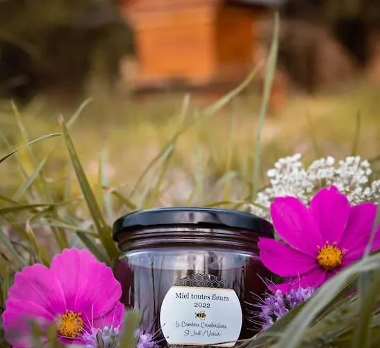 Le Cambou * Saint-Just-sur-Viaur