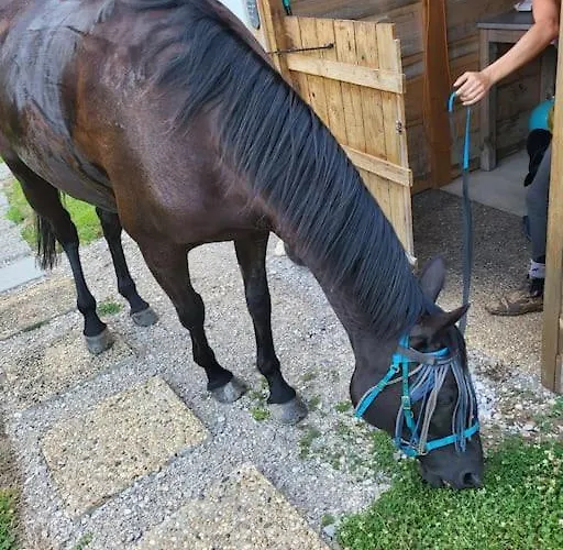 Le Cambou * Saint-Just-sur-Viaur