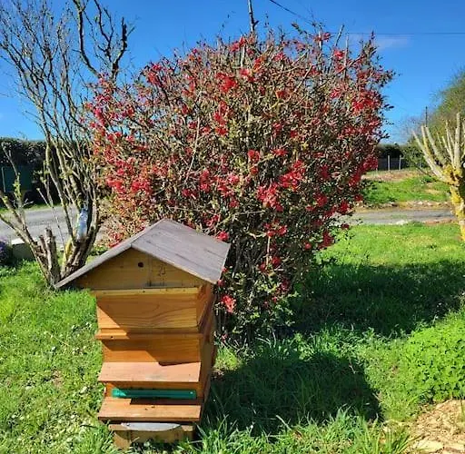 Le Cambou Дом отдыха Saint-Just-sur-Viaur